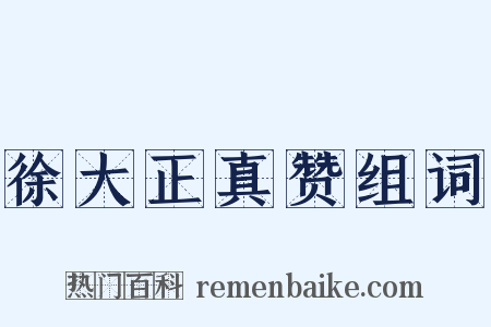 徐大正真赞组词是什么意思的图片